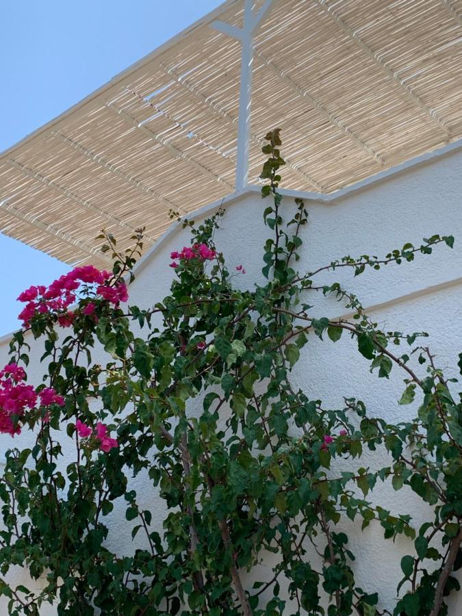 Trullo Tojo Villa Ostuni Buitenkant foto